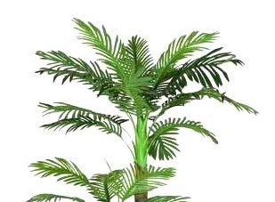 KAYKON Artificial Plant Big Areca Palm Green Tree Without Pot Indoor Plant for Home Decor (2 Leg Palm), Plastic - Image 4