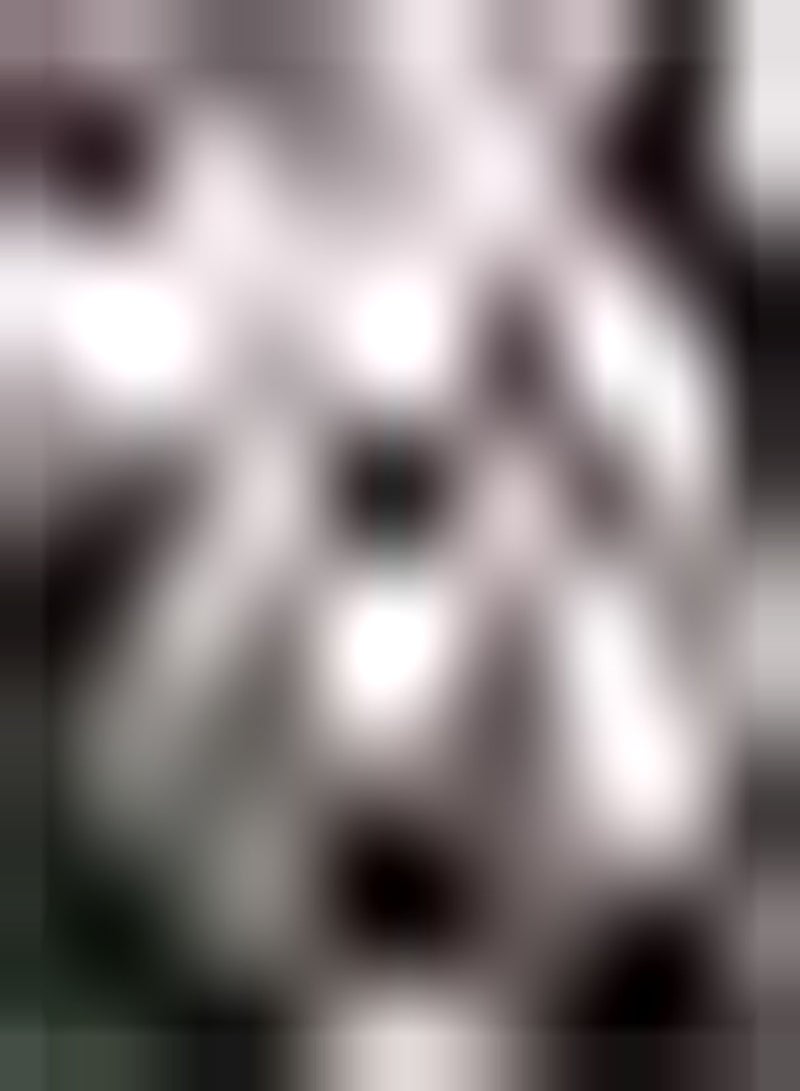 GGOOT 10Stück Rot weiße Tulpenzwiebeln Spleißen Farbe Heirloom Blumenzwiebeln EIN Muss für den Hausgarten Weit verbreitete Sorte einfache Kultivierung - Image 1