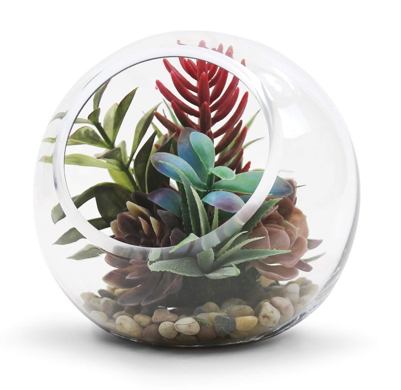 WGVI WGV Slant Cut Bowl Glass Vase  Width 7.5""  Height 7.5""  Clear Round Globe Planter Terrarium Orb  Candy Dish  Fruit Jar  Floral Container for Home Office Decor  1 Piece - Image 4