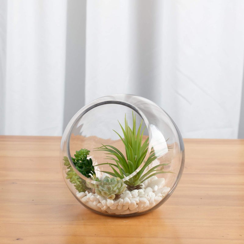 WGVI WGV Slant Cut Bowl Glass Vase  Width 7.5""  Height 7.5""  Clear Round Globe Planter Terrarium Orb  Candy Dish  Fruit Jar  Floral Container for Home Office Decor  1 Piece - Image 5