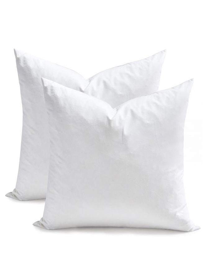 TOPGREEN Goose Feather Throw Pillow Inserts 2 Pack | 18 x18 Square Deco Pillow for Bed, Sofa, and Couch | 100% Cotton Shell, Soft Medium Decorative Pillow Core Set of 2 (White) - Image 1