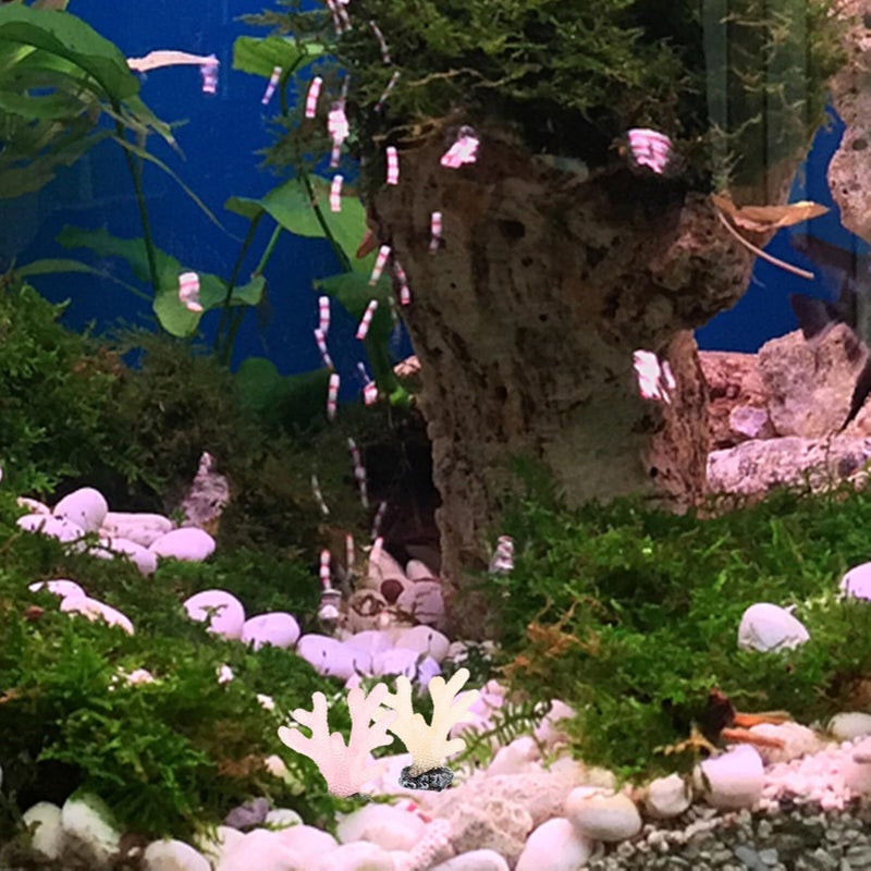 12 Pcs Realistic Artificial Aquarium Coral Decor For Fish Tank Vibrant Color Variety - Image 5