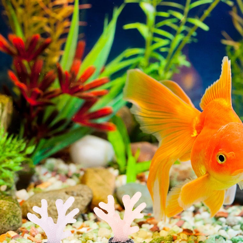 12 Pcs Realistic Artificial Aquarium Coral Decor For Fish Tank Vibrant Color Variety - Image 4