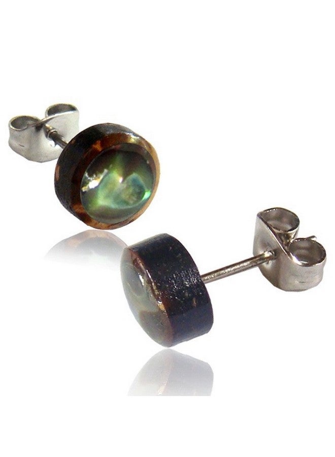 Earth Accessories Organic Shell Stud Earrings For Women - Stud Earring Set Surrounded By Coconut Shell With Abalone, Mother Of Pearl, And More - Image 1