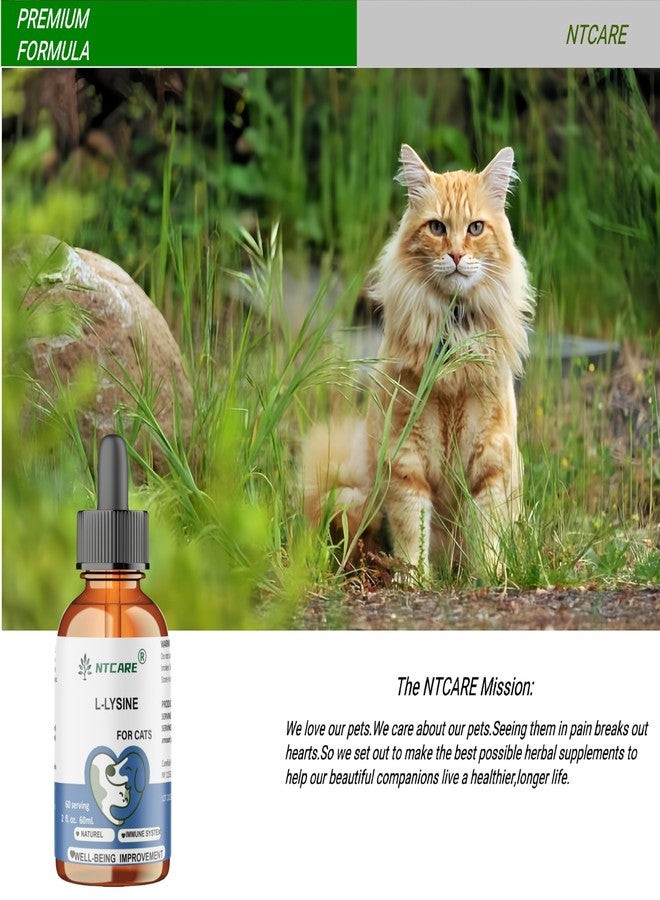 NTCARE L-Lysine Supplement for Cats - Cat Supplement for Sneezing and Runny Nose, Cold, Immune Support, Eye Function, and Respiratory Health – Lysine, 2 fl oz - Image 4
