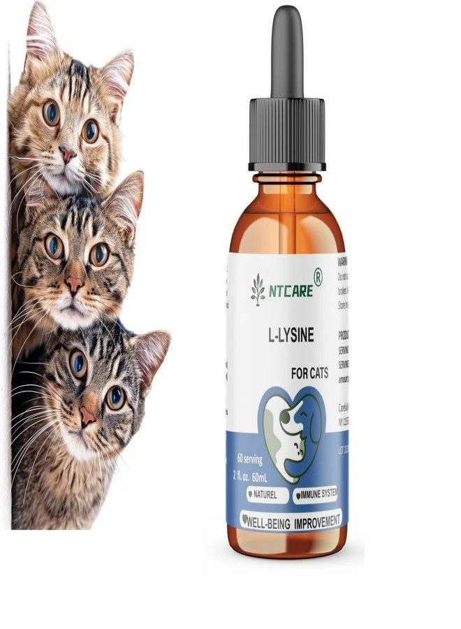 NTCARE L-Lysine Supplement for Cats - Cat Supplement for Sneezing and Runny Nose, Cold, Immune Support, Eye Function, and Respiratory Health – Lysine, 2 fl oz - Image 2