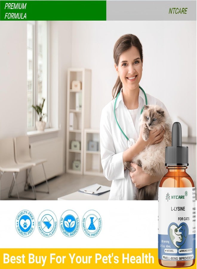 NTCARE L-Lysine Supplement for Cats - Cat Supplement for Sneezing and Runny Nose, Cold, Immune Support, Eye Function, and Respiratory Health – Lysine, 2 fl oz - Image 3