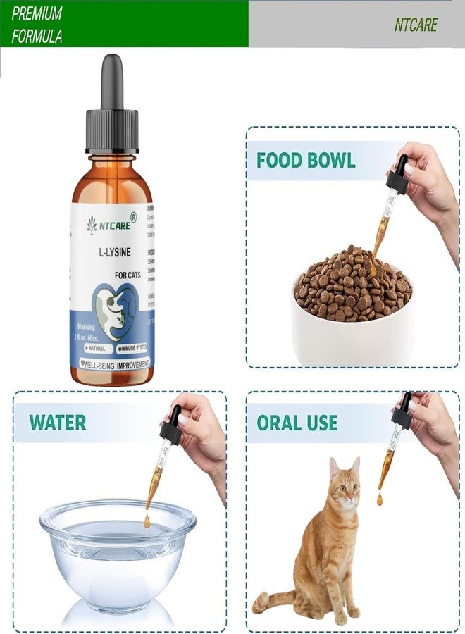 NTCARE L-Lysine Supplement for Cats - Cat Supplement for Sneezing and Runny Nose, Cold, Immune Support, Eye Function, and Respiratory Health – Lysine, 2 fl oz - Image 5