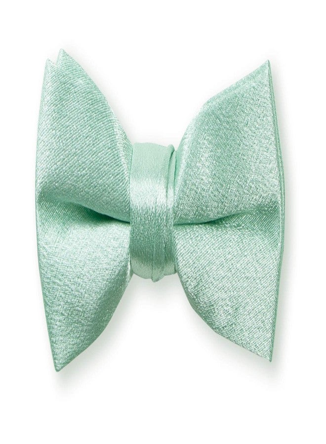 Spring Notion Boys' Milano Crinkle Microfiber Bow Tie Small Laurel Green - Image 2
