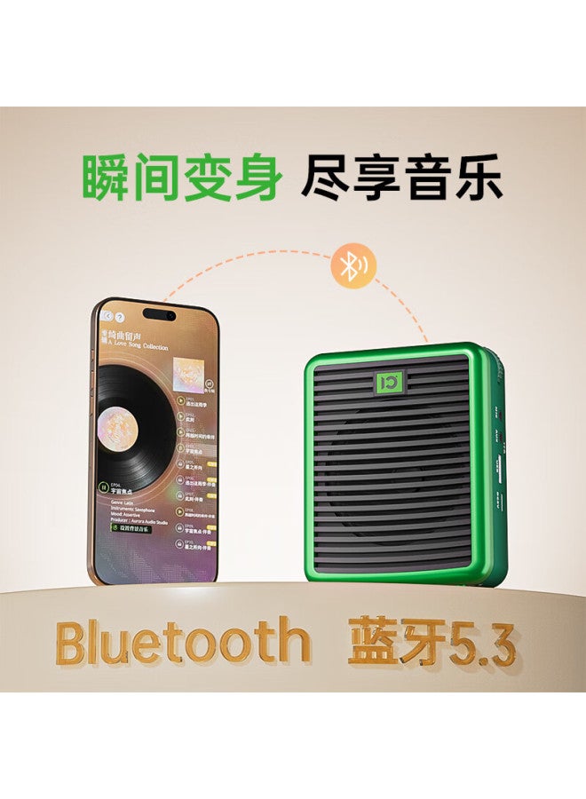 M2 Portable Voice Amplifier Microphone For Tour Guides Teachers Outdoor Classes High Power Mini Bee Loudspeaker Bluetooth Large Volume Long Battery Life Wired Microphone Starry Sky Green