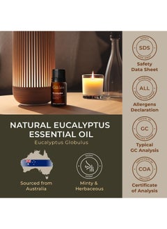 Gya Labs Eucalyptus Essential Oil (10ml) - Eucalyptus Oil Essential Oils for Diffuser, Skin, Humidifier, Sinus & Hair - pzsku/ZC28A5347DDC8C626D22AZ/45/_/1739961764/a7e2e4e3-c62c-415c-90ff-7bd37e14dccf