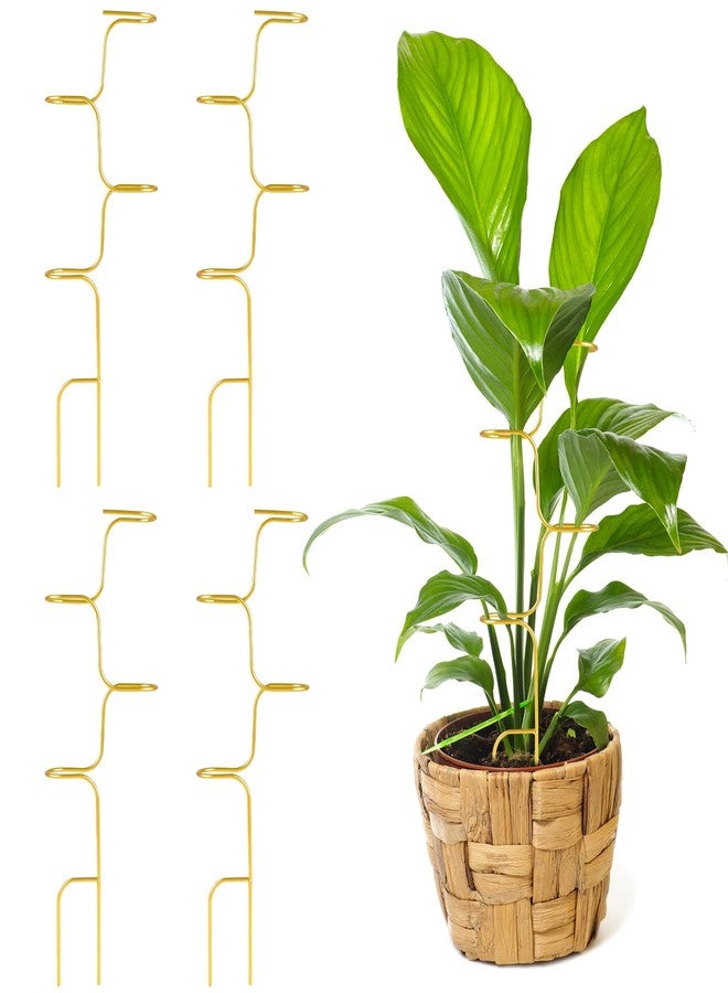 succulentlovers 4PCS Indoor Plant Support Stakes, 12.6 Inch Metal Monstera Plant Supports, Indoor Plant Trellis Plant Stem Holder Support for Indoors & Outdoor Garden Plants Stabilization and Supports - Image 1