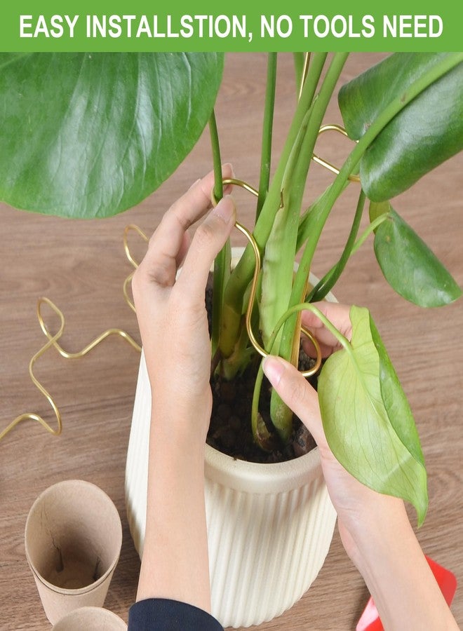 succulentlovers 4PCS Indoor Plant Support Stakes, 12.6 Inch Metal Monstera Plant Supports, Indoor Plant Trellis Plant Stem Holder Support for Indoors & Outdoor Garden Plants Stabilization and Supports - Image 4