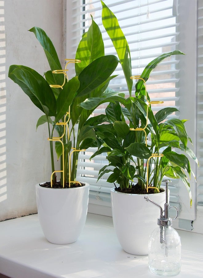 succulentlovers 4PCS Indoor Plant Support Stakes, 12.6 Inch Metal Monstera Plant Supports, Indoor Plant Trellis Plant Stem Holder Support for Indoors & Outdoor Garden Plants Stabilization and Supports - Image 5