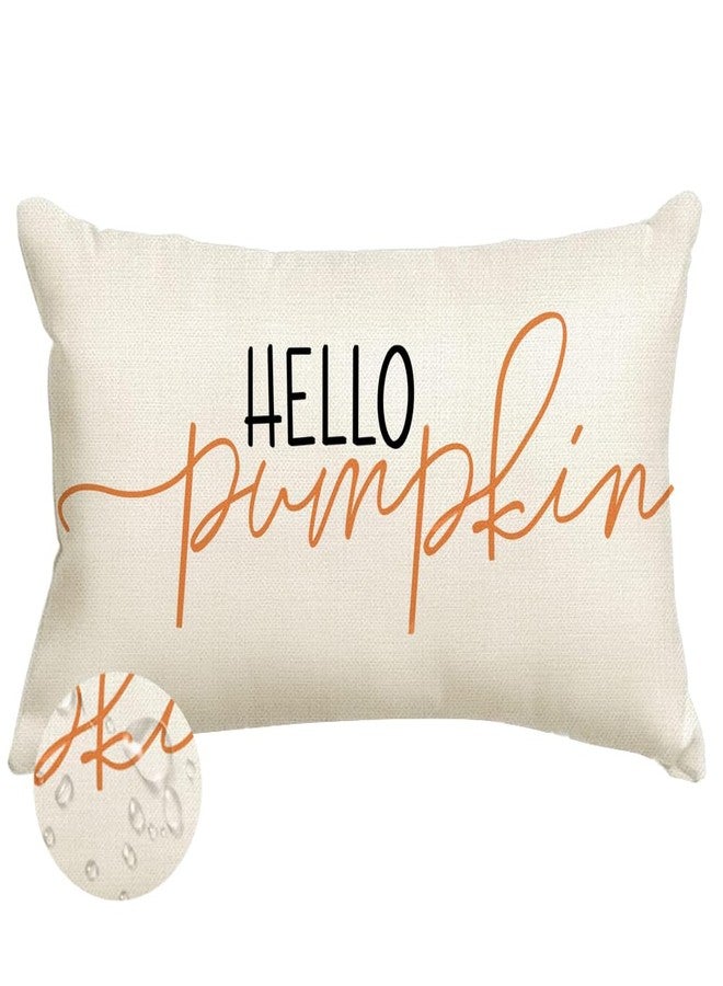 RABUSOFA Fall Pillow Covers 12x20 Inch Outdoor Waterproof Hello Pumpkin Quote Thanksgiving Autumn Lumbar Harvest Throw Cushion Cases Seasonal Fall Decorations for Home Couch Patio - Image 1