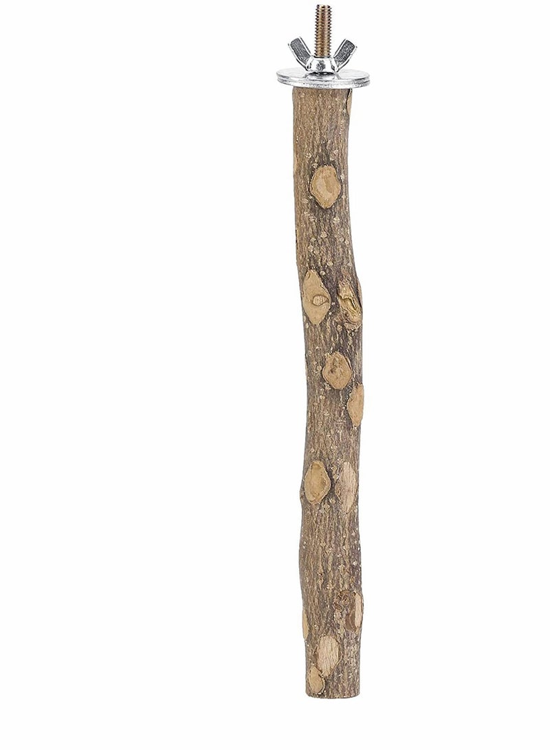 NIBEMINENT Natural Wood Bird Perch Stand, Hanging Multi Branch for Parrots, Parakeets Cockatiels, Conures, Macaws, Love Birds, Finches - Image 5