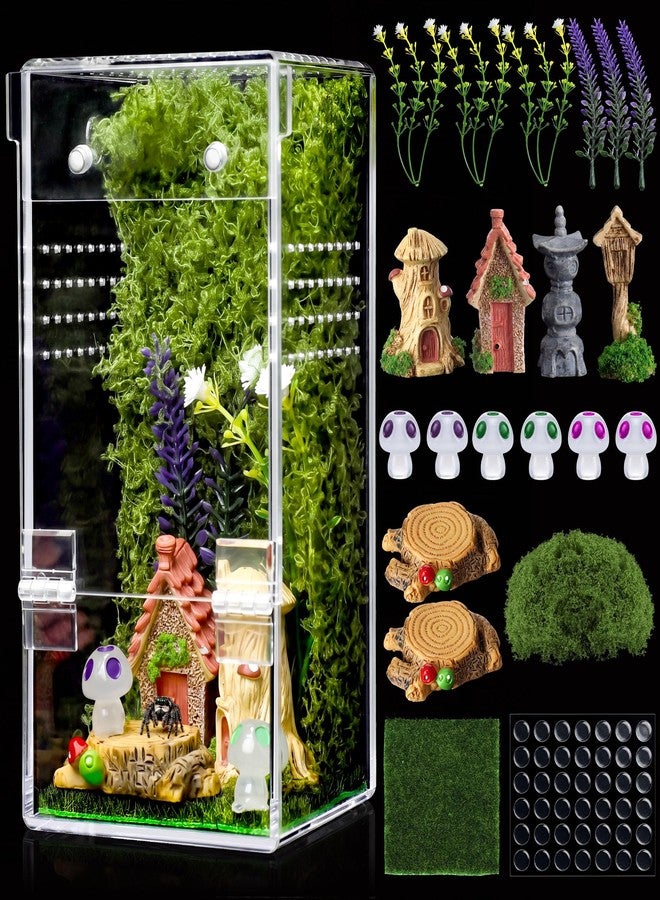 Dreyoo Jumping Spider Enclosure Kit - Escape-Proof Terrarium for Jumping Spiders, Praying Mantis, and Small Insects - Complete Habitat with Spider Cage, Plants, Moss, and Accessories - Ideal Starter Kit - Image 1