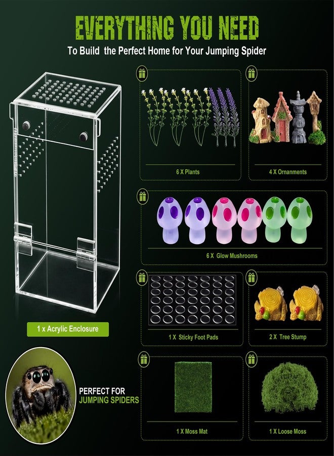 Dreyoo Jumping Spider Enclosure Kit - Escape-Proof Terrarium for Jumping Spiders, Praying Mantis, and Small Insects - Complete Habitat with Spider Cage, Plants, Moss, and Accessories - Ideal Starter Kit - Image 2