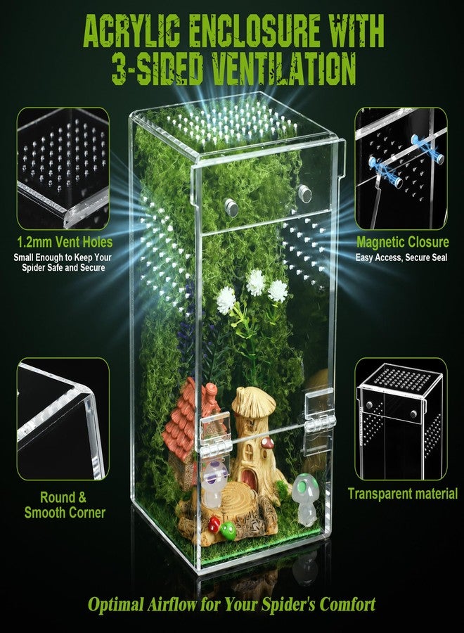 Dreyoo Jumping Spider Enclosure Kit - Escape-Proof Terrarium for Jumping Spiders, Praying Mantis, and Small Insects - Complete Habitat with Spider Cage, Plants, Moss, and Accessories - Ideal Starter Kit - Image 4
