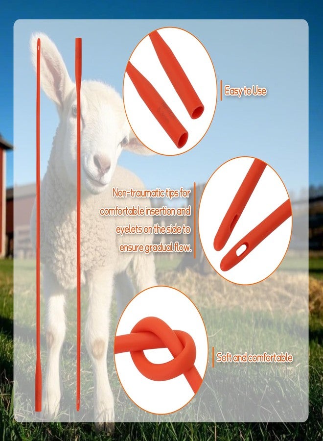 Abustle pig 5 Pieces Lamb Feeding Tubes, Red Flexible Rubber Replacement Tubing Supplies for Lamb,Sheep,Piglet,Rabbit,Puppy Feeding (16 Inch x 16FR) (5 Pack, 16 FR) - Image 4