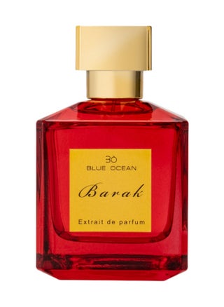 Barak EDP 100ml - pzsku/ZC28E64FD8D05384DF9A4Z/45/_/1663915649/4c67fff4-890a-4670-8390-75cca5ce3f75