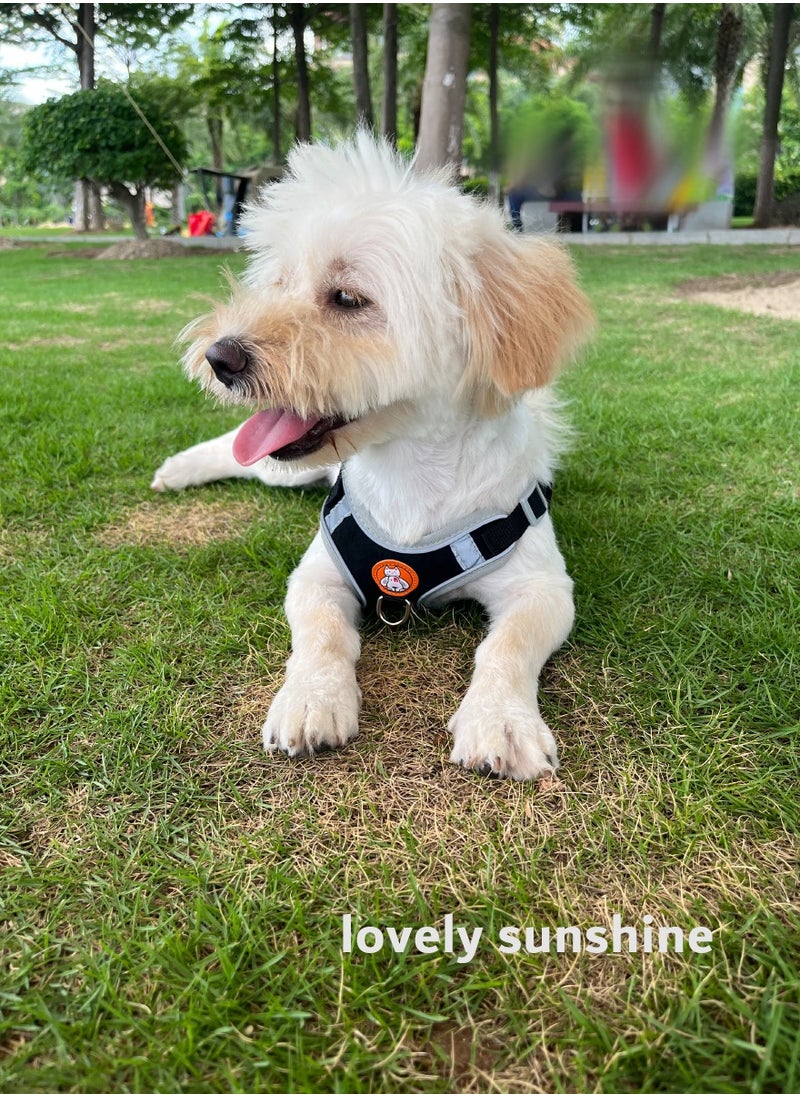 Generic - Pet harness and leash set for small and medium dog, 150cm padded handle dog lead, Reflective, Adjustable and no choke harness, Black - Image 1