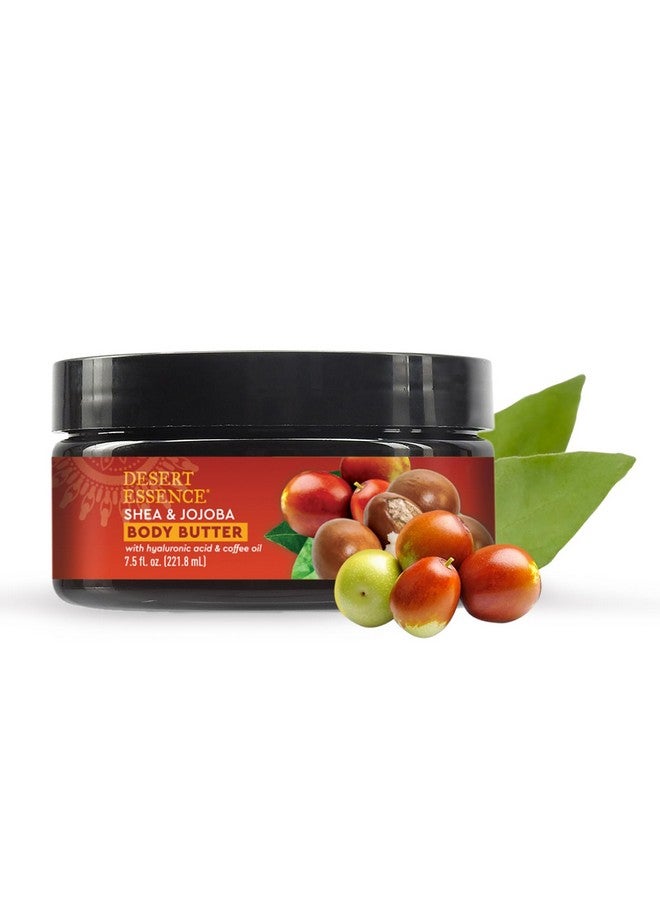 زبدة الجسم من ديزرت إيسنس، بزبدة الشيا والجوجوبا، 7.5 أونصة، حمض الهيالورونيك وزيت القهوة، مرطب ومغذي بعمق، غني بمضادات الأكسدة، مستخلصات نباتية غنية بالرطوبة، زبدة الشيا وزيت الجوجوبا - Image 1