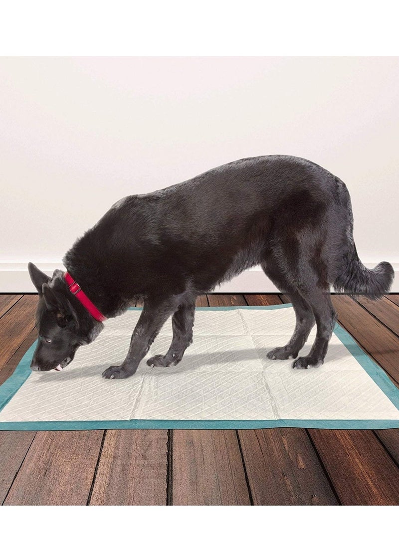 Simple Solution 10 قطع من وسادات تدريب الكلاب والجراء XL - Image 3