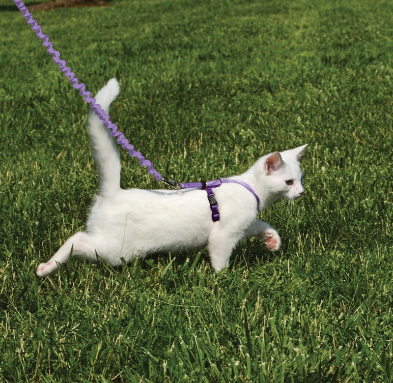 PetSafe Come with Me Kitty Cat Harness & Bungee Leash - Comfortable No-Choke Harness with Lightweight Bungee Leash for Outdoor Fun - Escape Free Pulling Prevention - Small - Lilac - Image 2