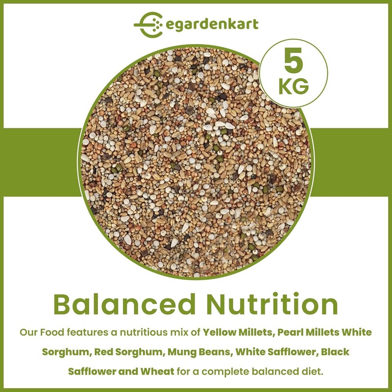 Egardenkart طعام الطيور البرية من إي غاردن كارت 5 كجم - مزيج اقتصادي من بذور الطيور لجميع أنواع الطيور البرية | طعام الطيور للحمام واليمام والميّنة والخرشنة والسبّو والهدد | بذور الطيور في الهواء الطلق (5 كجم، بذور صغيرة) - Image 2