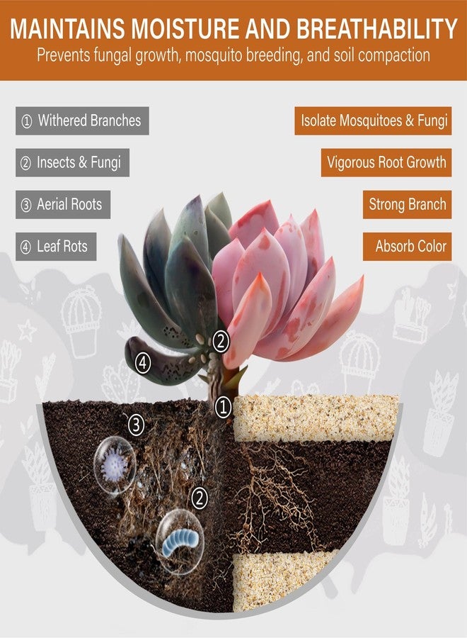 NUPICK 1mm Horticultural Sand for Plants, 5lb Coarse Sand for Landscaping, Desert Silica Horticultural Grit for Succulents & Cactus, Decorative Gravel for Aquariums, Gold Grit for Bonsai, Vase - Image 5
