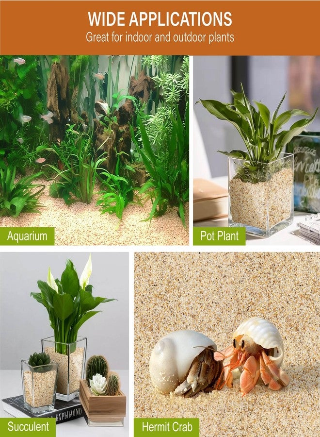 NUPICK 1mm Horticultural Sand for Plants, 5lb Coarse Sand for Landscaping, Desert Silica Horticultural Grit for Succulents & Cactus, Decorative Gravel for Aquariums, Gold Grit for Bonsai, Vase - Image 4