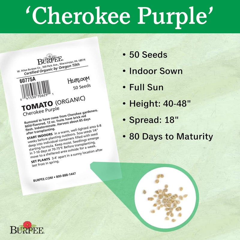 Burpee Cherokee Purple Heirloom  Large Purple Slicing Tomato  Rich Flavor  50 Seeds - Image 3