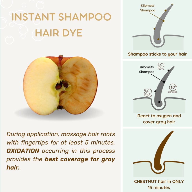 KILOMETS CHESTNUT BROWN Hair Dye Shampoo 3 IN 1- Hair Color Shampoo Grey Coverage in Minutes Ammonia Free Instant Coloring Gift for Mom Dad - Image 3