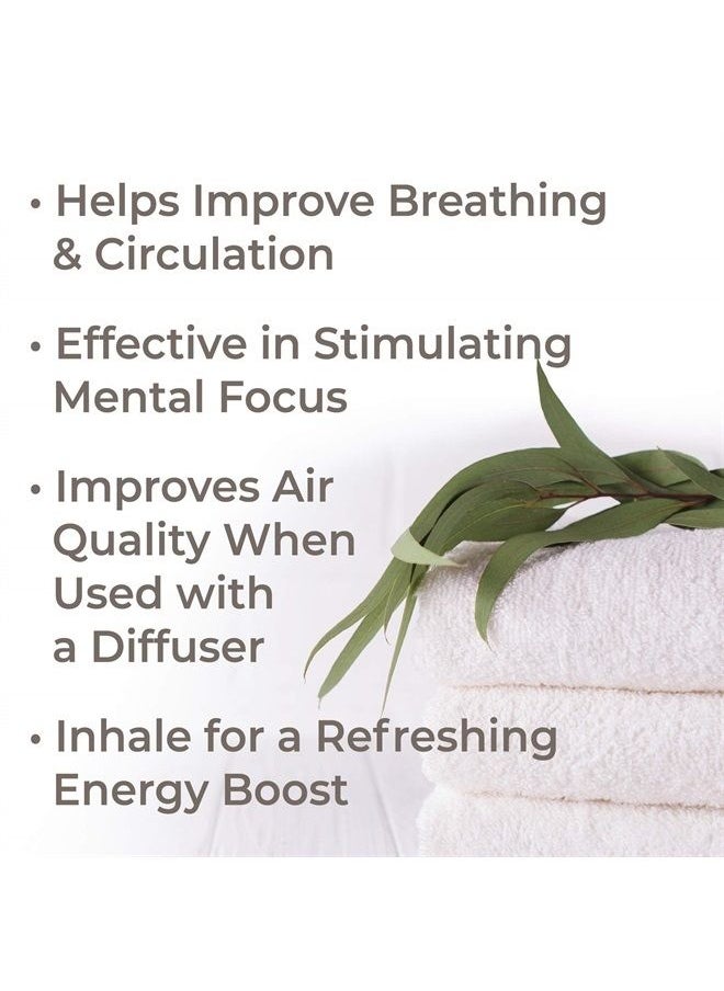 Plant Therapy Eucalyptus Pre-Diluted Roll-On 10mL (1/3 oz) 100% Pure, Therapeutic Grade  - Image 2