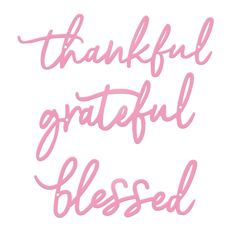 ESTART Thankful Grateful Blessed Letter Sign Metal Wall Decor, 3 Pieces Pink Letters Wall Art for Bathroom Bedroom Metal Words Wall Decor for Home Decor (Pink) - Image 1