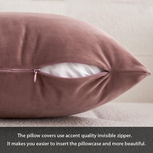 MIULEE Pack of 2 Velvet Pillow Covers Decorative Square Pillowcase Soft Solid Cushion Case for Spring Sofa Bedroom Car 12x12 Inch Jam - Image 3
