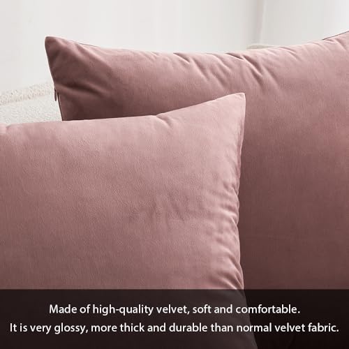 MIULEE Pack of 2 Velvet Pillow Covers Decorative Square Pillowcase Soft Solid Cushion Case for Spring Sofa Bedroom Car 12x12 Inch Jam - Image 2