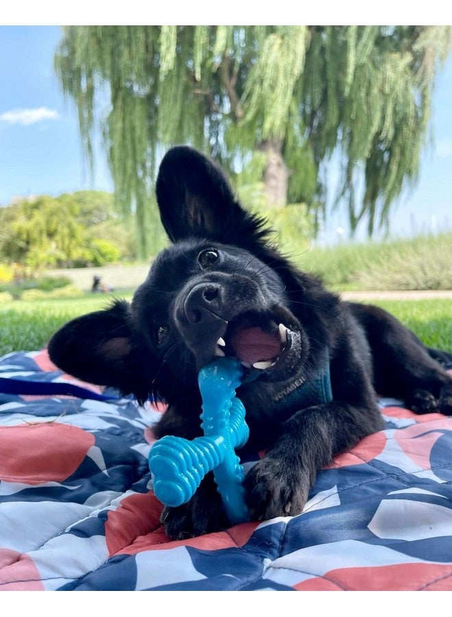 Nylabone Comfort Hold X-Bone Power Chew Toy for Dogs, Dog Toys for Aggressive Chewers, Beef Flavor, Small - Up to 25 lbs, 1 Count - Image 1