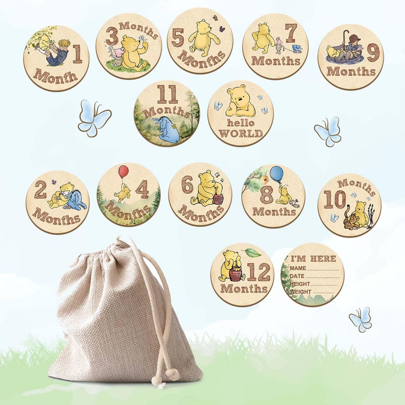 ALodr 7 Pcs Winnie Baby Monthly Milestone Markers Winnie Double Sided Winnie Baby Months Wooden Signs with Storage Bag Winnie Baby Monthly Announcement Wooden Discs Winnie Milestone Pictures of Newborn - Image 4