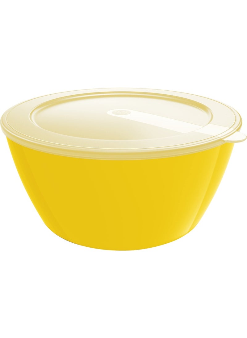 509490 Mycolours Savio Salad Bowl With Lid  2.0 Les  Bramble - pzsku/ZC298260DBB771D72CCA2Z/45/_/1718268394/97de0a8c-00e5-4ba7-acf9-e8e84ec860df