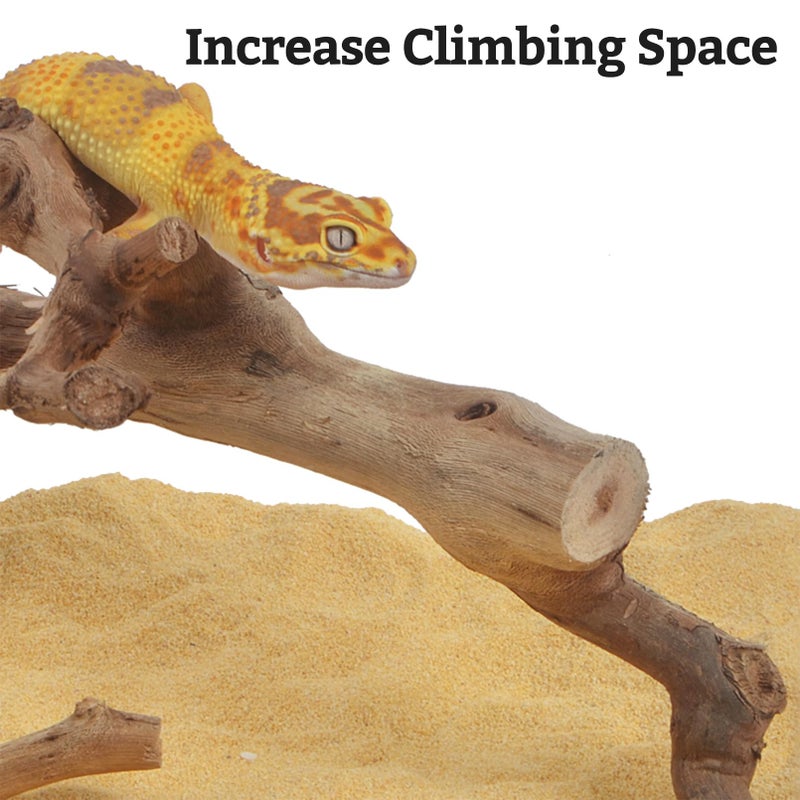 VCEPJH Snake Climbing Branch, 2Pcs Reptile Wood Natural Cork Log Tank Accessories Tree Trunk for Chameleon Bearded Dragon Gecko Snake Frog Spider - Image 5