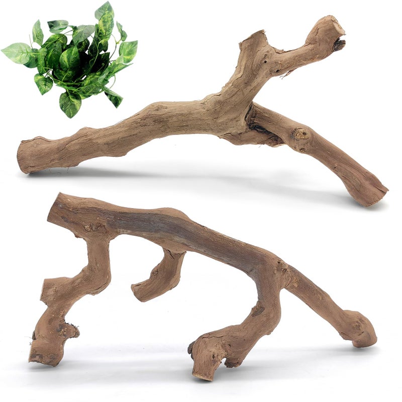 VCEPJH Snake Climbing Branch, 2Pcs Reptile Wood Natural Cork Log Tank Accessories Tree Trunk for Chameleon Bearded Dragon Gecko Snake Frog Spider - Image 1