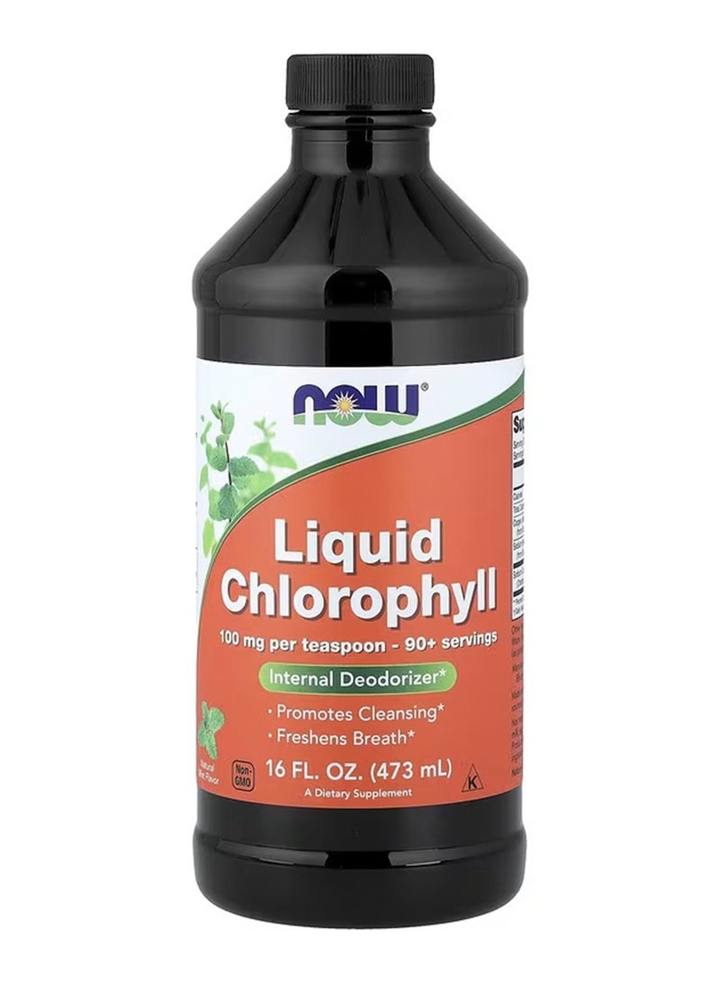 Now Foods Internal Deodorizer Liquid Chlorophyll - Mint 473 ML - Image 1
