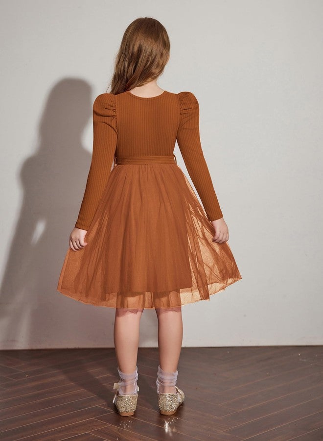 Arshiner Toddler Kid Tulle Dress Long Sleeves Fall Winter Thanksgiving Special Occasion Party Tutu Sweater Dresses Brown 3-4T - Image 4