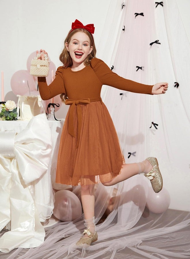 Arshiner Toddler Kid Tulle Dress Long Sleeves Fall Winter Thanksgiving Special Occasion Party Tutu Sweater Dresses Brown 3-4T - Image 3