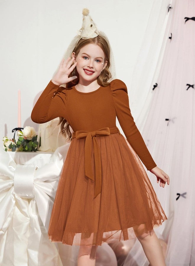 Arshiner Toddler Kid Tulle Dress Long Sleeves Fall Winter Thanksgiving Special Occasion Party Tutu Sweater Dresses Brown 3-4T - Image 2