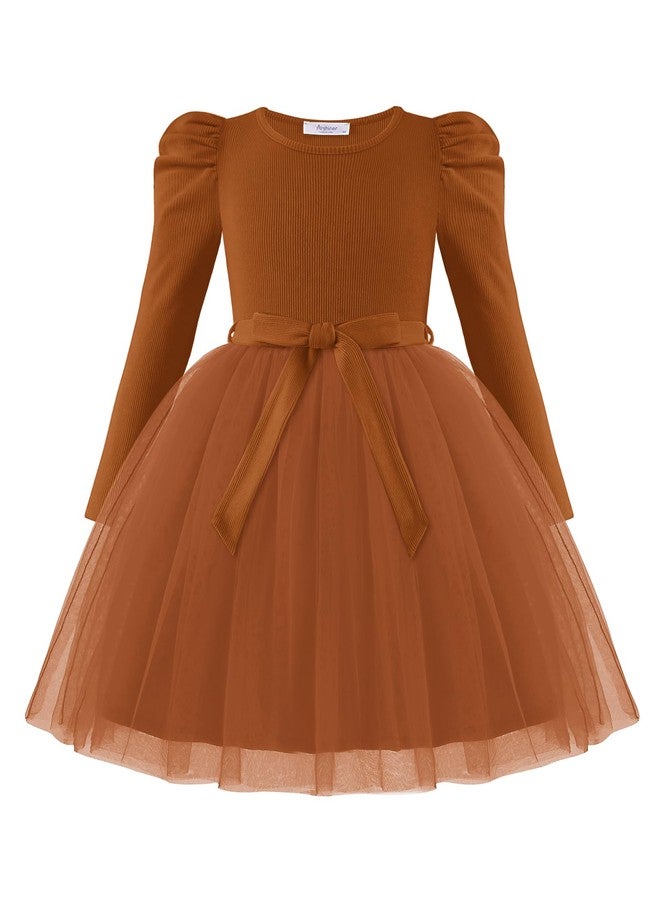 Arshiner Toddler Kid Tulle Dress Long Sleeves Fall Winter Thanksgiving Special Occasion Party Tutu Sweater Dresses Brown 3-4T - Image 1