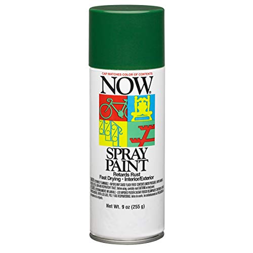 Krylon Now Spray Paint, Gloss, Hunter Green, 9 oz - Image 1