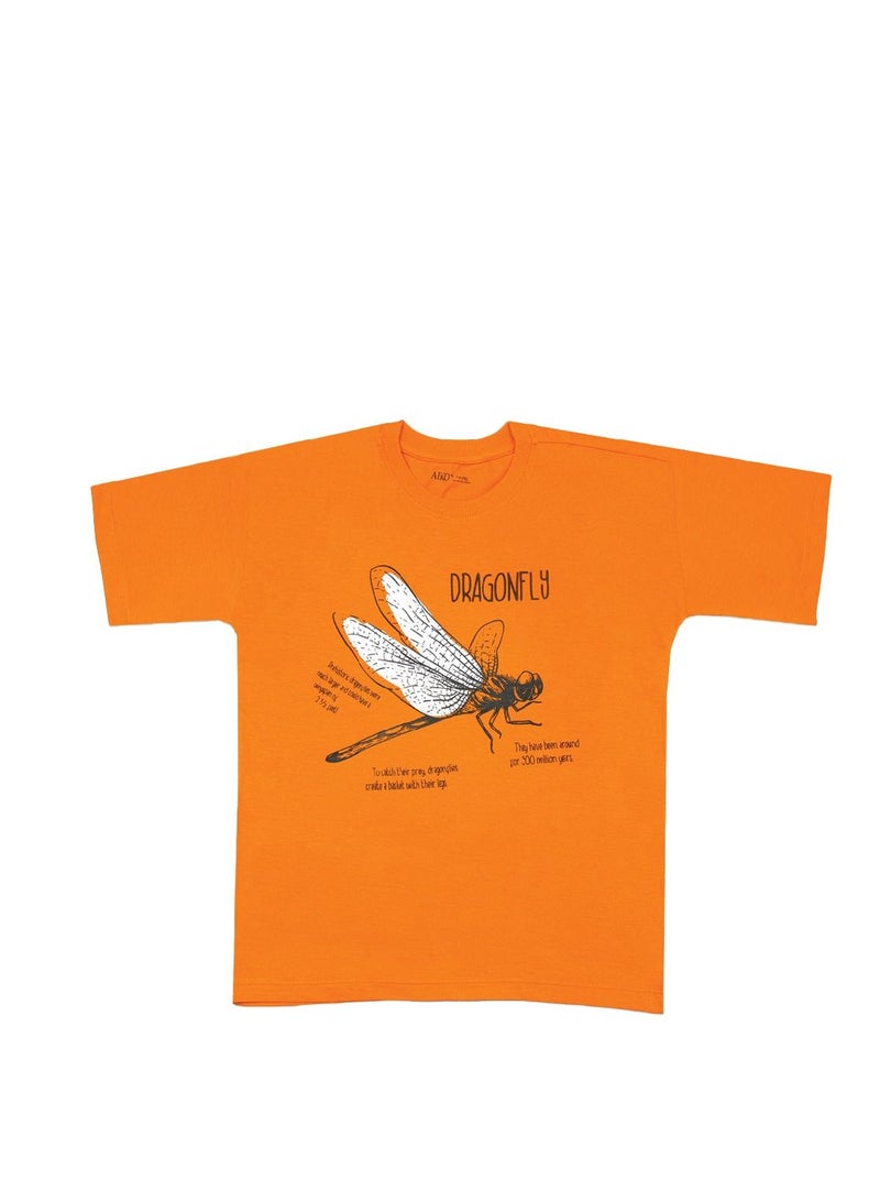 AIKO - Boys Stylish Dragonfly T-Shirt 3-4Years - Image 1